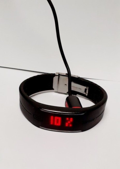 Veilinghuis Online kavel details De Polar Loop 2